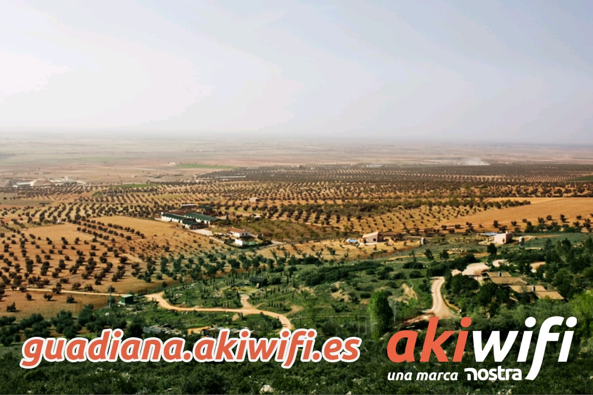 Vista aérea de campos de olivos en la comarca del Guadiana, con el logo de akiwifi